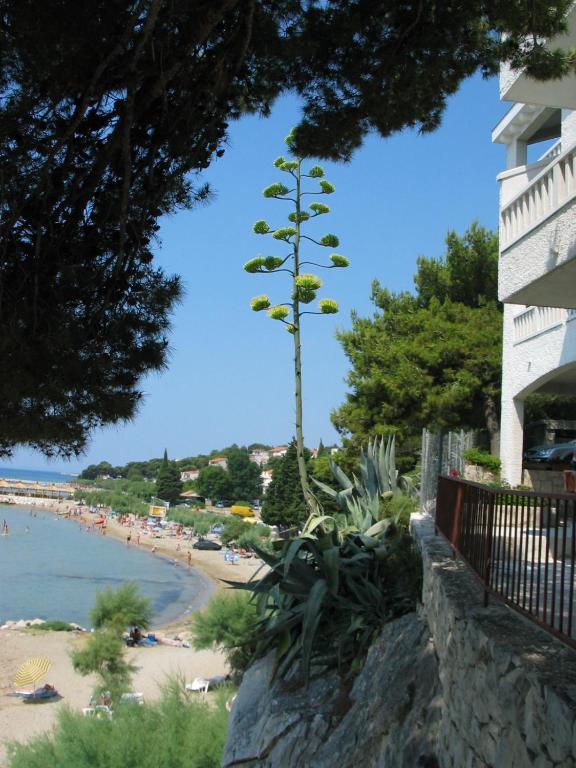 Apartments Agava-Mirjana Omiš Zewnętrze zdjęcie